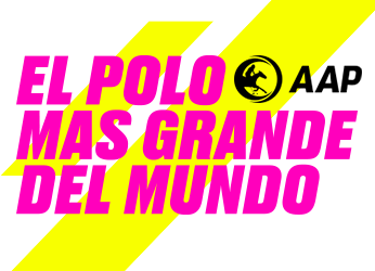 Asociación Argentina Polo